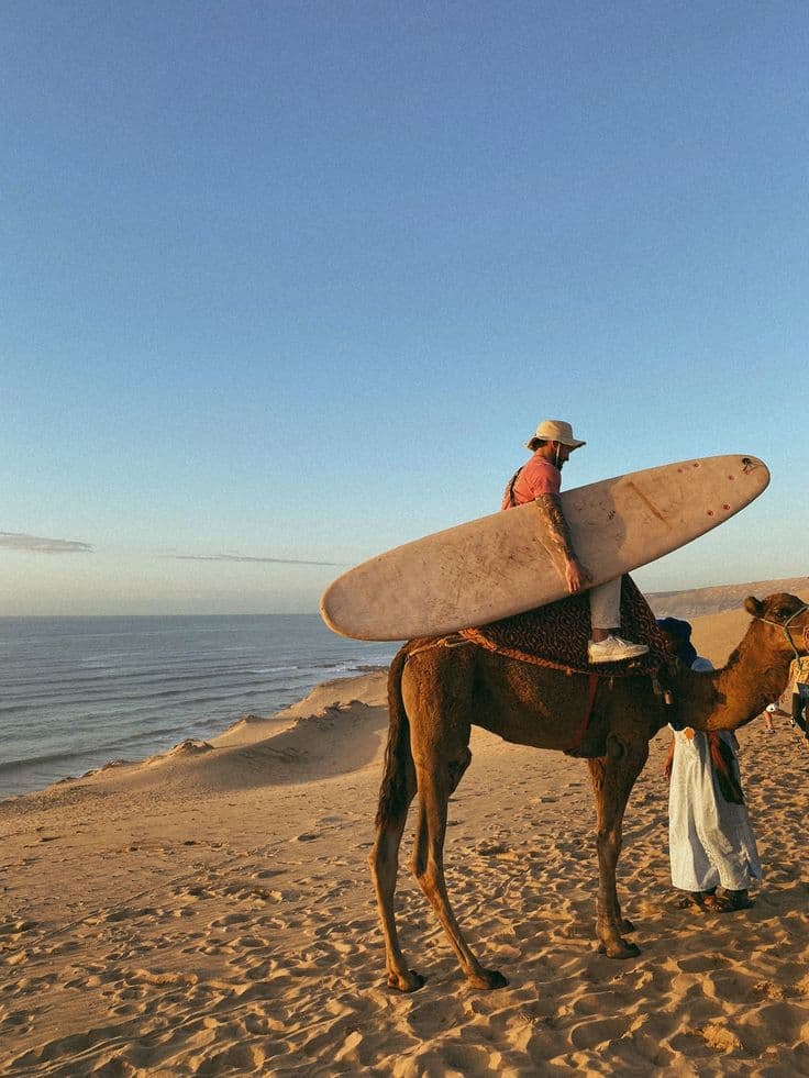 A camel on the beach at sunset near Imi Ouaddar